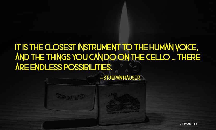 Stjepan Hauser Quotes 1067981