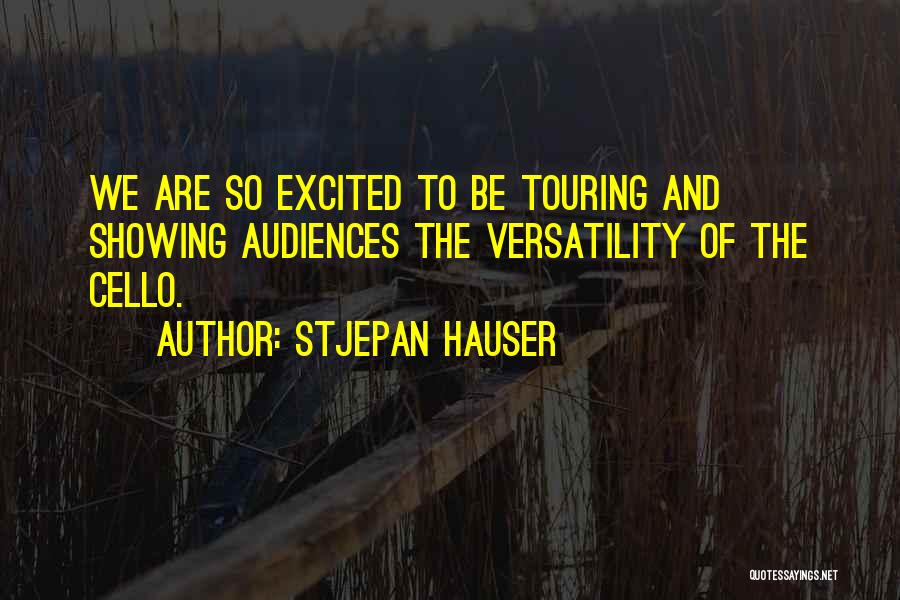 Stjepan Hauser Quotes 112325