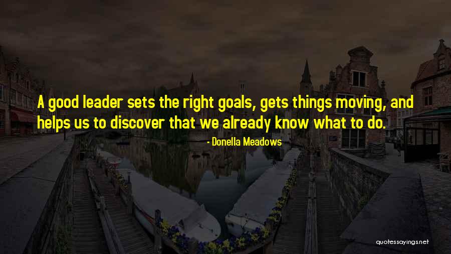 Stoarce Creiere Quotes By Donella Meadows Stoarce Creiere Quotes By Donella Meadows
