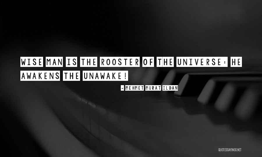 Stochastic Calculus Quotes By Mehmet Murat Ildan