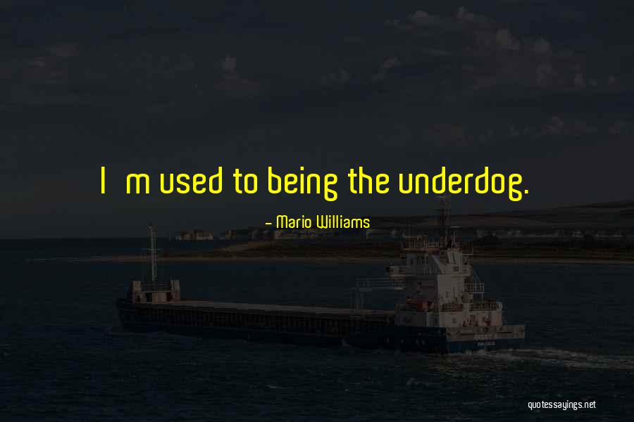 Stockade Fencing Quotes By Mario Williams Stockade Fencing Quotes By Mario Williams