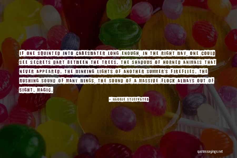 Stockinette Quotes By Maggie Stiefvater Stockinette Quotes By Maggie Stiefvater