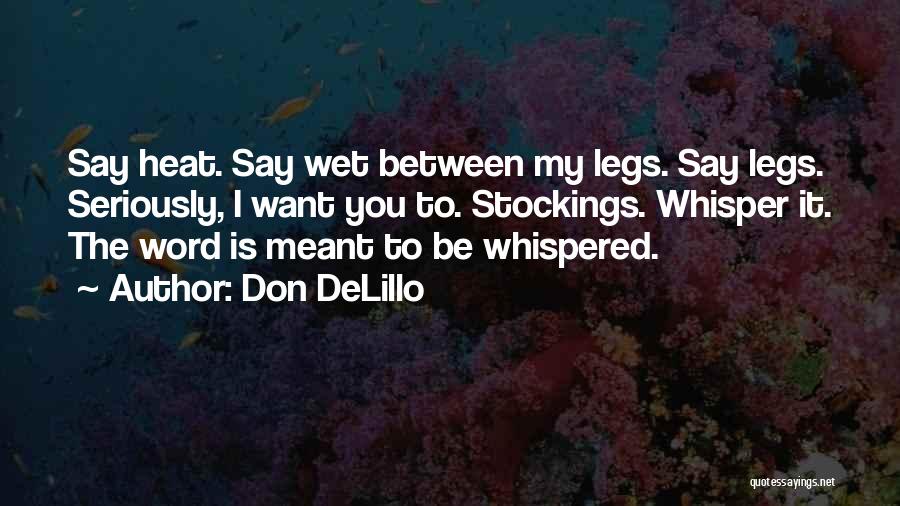 Stockings Quotes By Don DeLillo