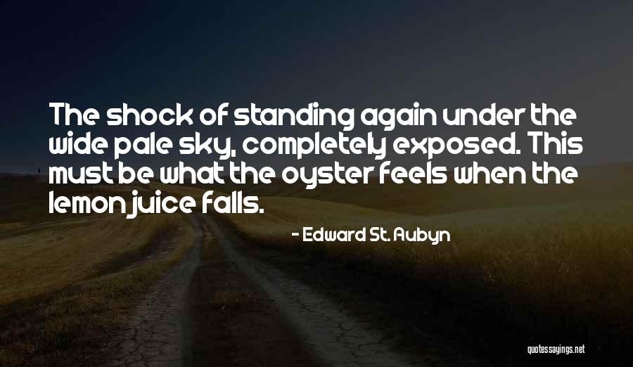 Stoebe Schuster Quotes By Edward St. Aubyn Stoebe Schuster Quotes By Edward St. Aubyn