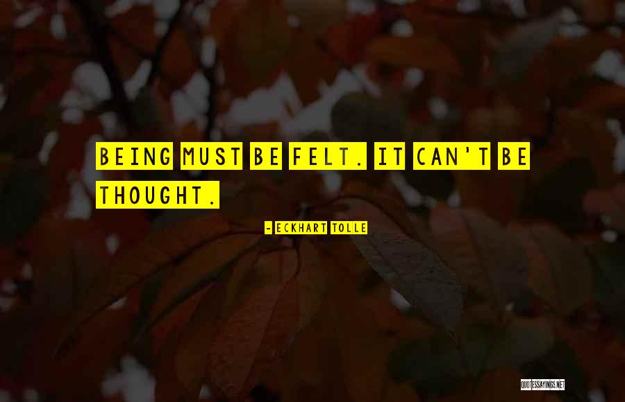 Stoecker And Northway Quotes By Eckhart Tolle Stoecker And Northway Quotes By Eckhart Tolle