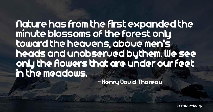 Stoeltie Diamonds Quotes By Henry David Thoreau Stoeltie Diamonds Quotes By Henry David Thoreau