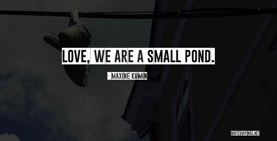 Stoffa Con Quotes By Maxine Kumin Stoffa Con Quotes By Maxine Kumin