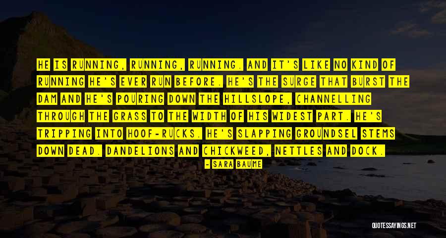 Stoffel Quotes By Sara Baume Stoffel Quotes By Sara Baume