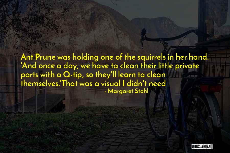 Stohl Quotes By Margaret Stohl Stohl Quotes By Margaret Stohl