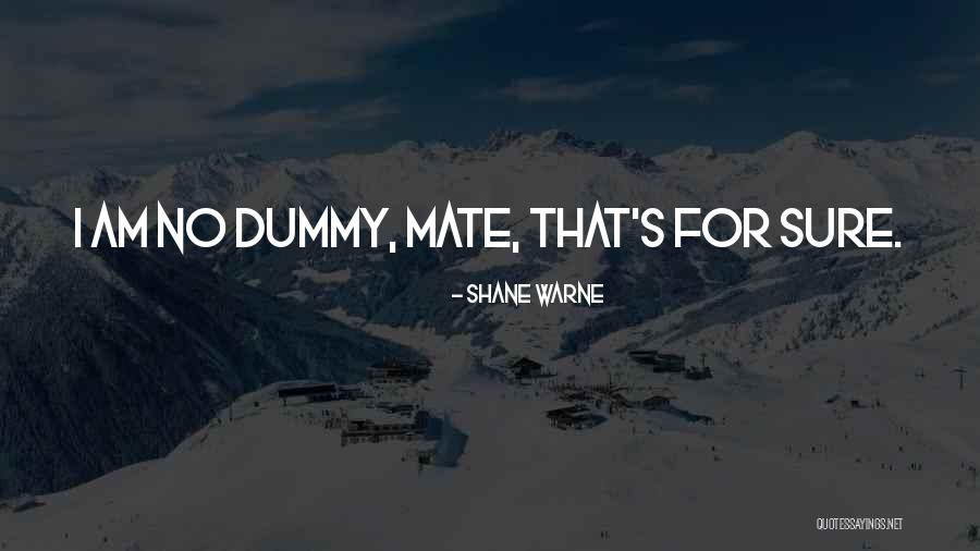 Stoilov Kosmonaut Quotes By Shane Warne Stoilov Kosmonaut Quotes By Shane Warne