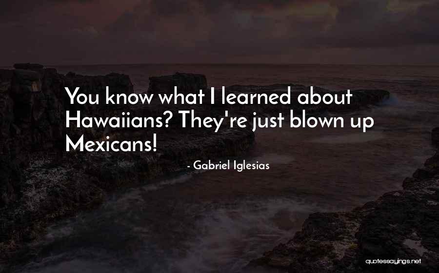Stoilova Quotes By Gabriel Iglesias Stoilova Quotes By Gabriel Iglesias