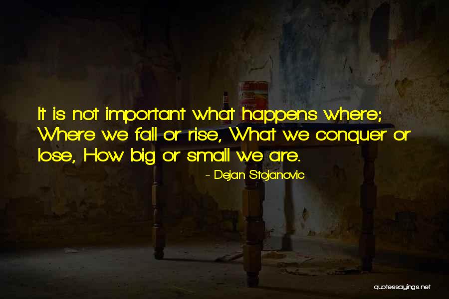 Stojanovic Quotes By Dejan Stojanovic