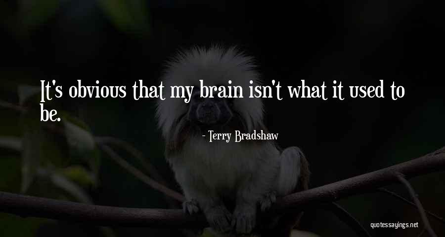 Stokker Quotes By Terry Bradshaw Stokker Quotes By Terry Bradshaw