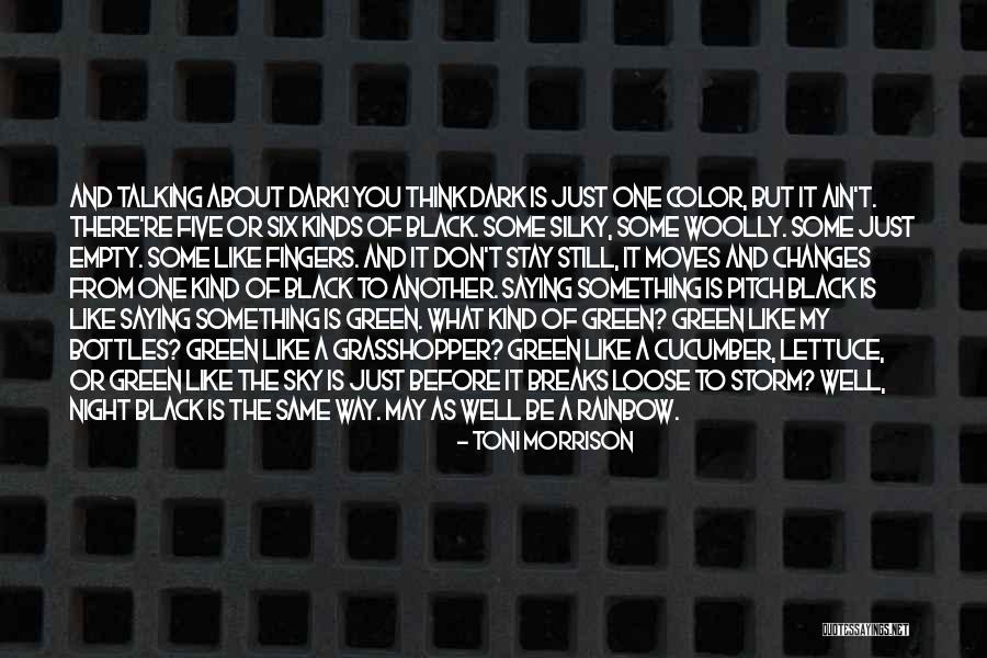 Stokman Van Quotes By Toni Morrison Stokman Van Quotes By Toni Morrison