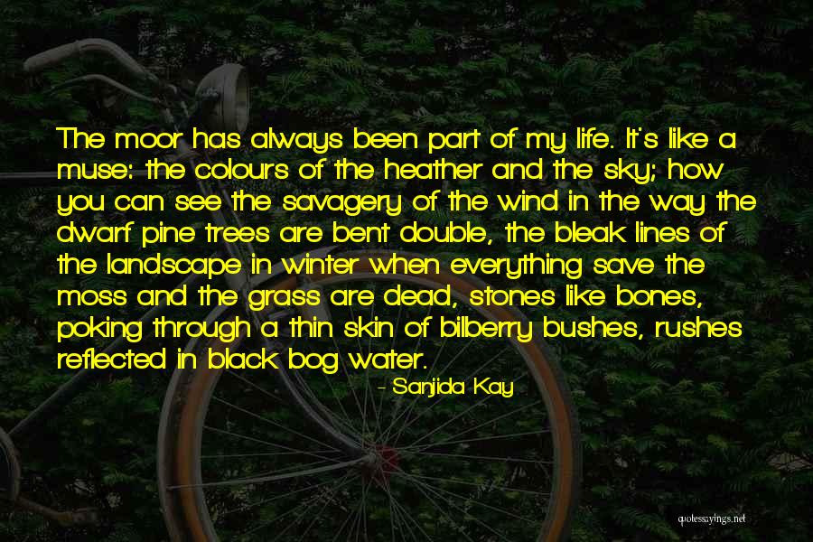 Stolen Child Quotes By Sanjida Kay Stolen Child Quotes By Sanjida Kay