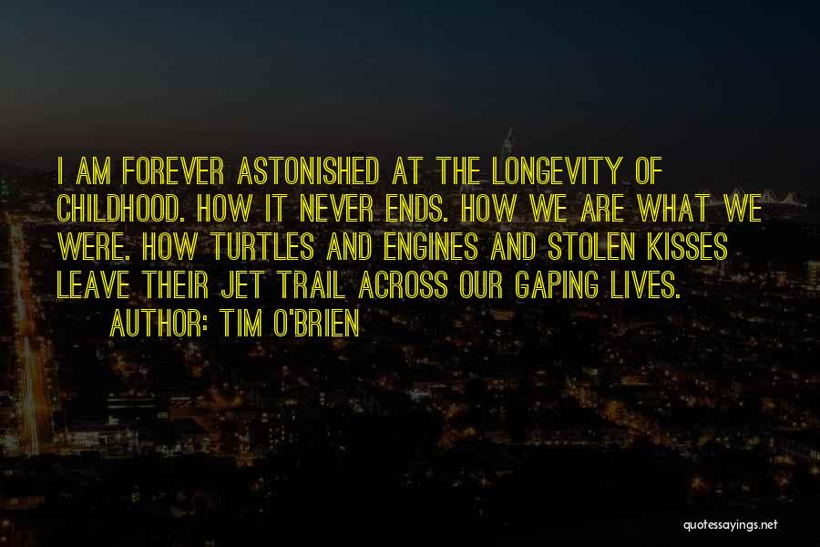 Stolen Kisses Quotes By Tim O'Brien