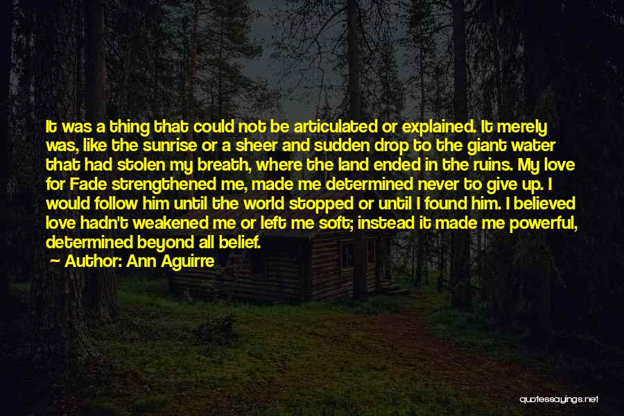 Stolen Love Quotes By Ann Aguirre