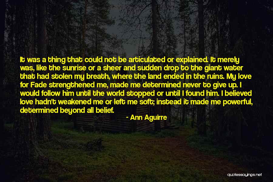 Stolen Love Quotes By Ann Aguirre