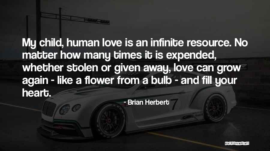 Stolen Love Quotes By Brian Herbert