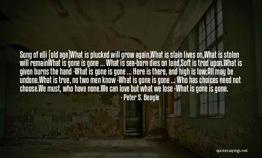 Stolen Love Quotes By Peter S. Beagle