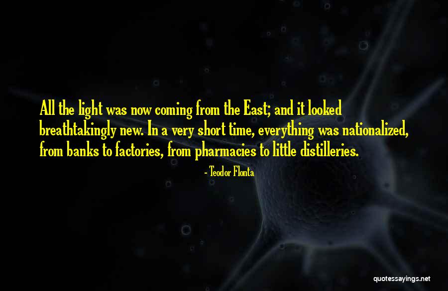 Stolform Quotes By Teodor Flonta Stolform Quotes By Teodor Flonta