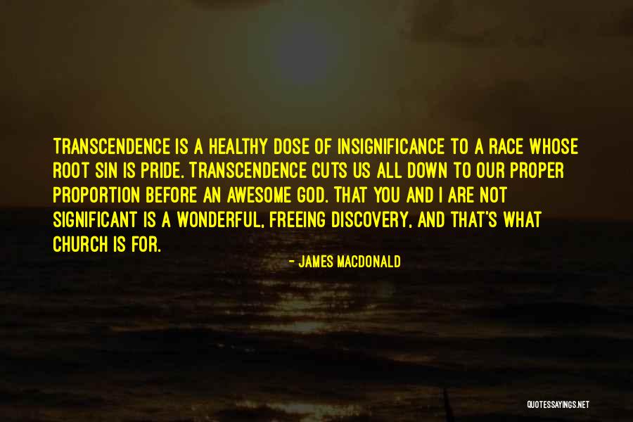 Stoli Vodka Quotes By James MacDonald Stoli Vodka Quotes By James MacDonald