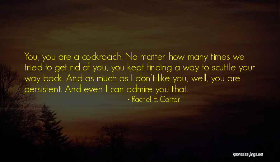Stollwerck Plumbing Quotes By Rachel E. Carter Stollwerck Plumbing Quotes By Rachel E. Carter