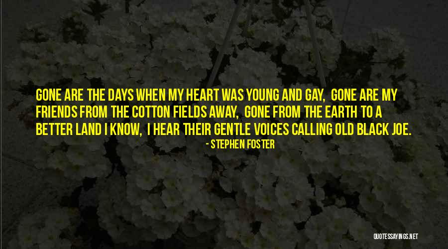 Stolomites Quotes By Stephen Foster Stolomites Quotes By Stephen Foster