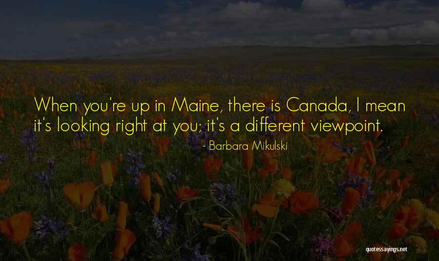 Stolons Examples Quotes By Barbara Mikulski Stolons Examples Quotes By Barbara Mikulski