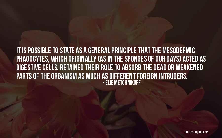 Stolova Vrtacka Quotes By Elie Metchnikoff Stolova Vrtacka Quotes By Elie Metchnikoff