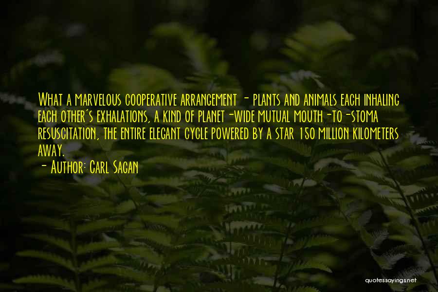 Stoma Quotes By Carl Sagan