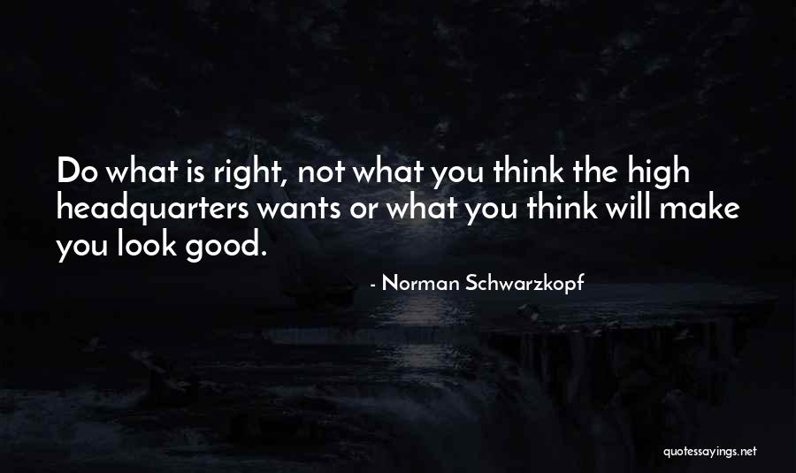 Stomach Aches Quotes By Norman Schwarzkopf Stomach Aches Quotes By Norman Schwarzkopf