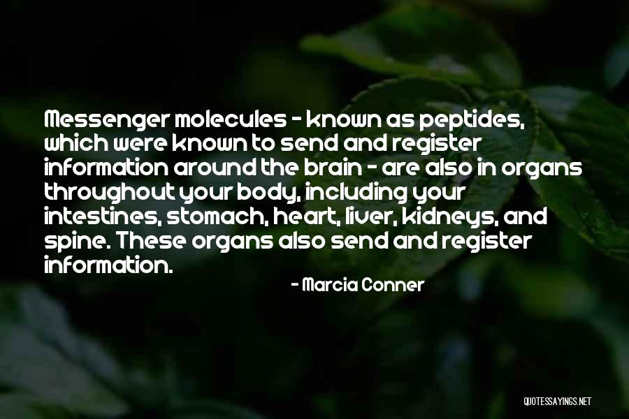 Stomach And Intestines Quotes By Marcia Conner Stomach And Intestines Quotes By Marcia Conner