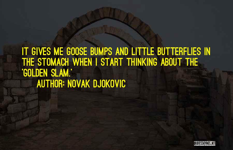 Stomach Butterflies Quotes By Novak Djokovic
