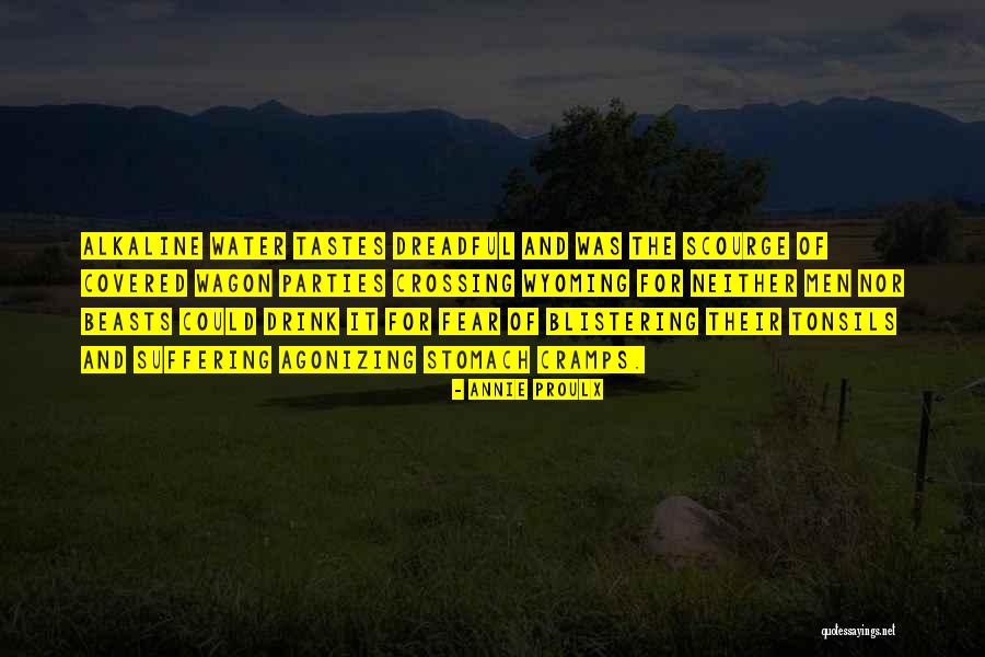 Stomach Cramps Quotes By Annie Proulx Stomach Cramps Quotes By Annie Proulx