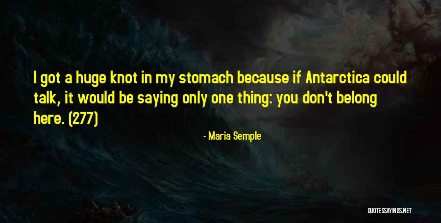 Stomach In Knots Quotes By Maria Semple Stomach In Knots Quotes By Maria Semple