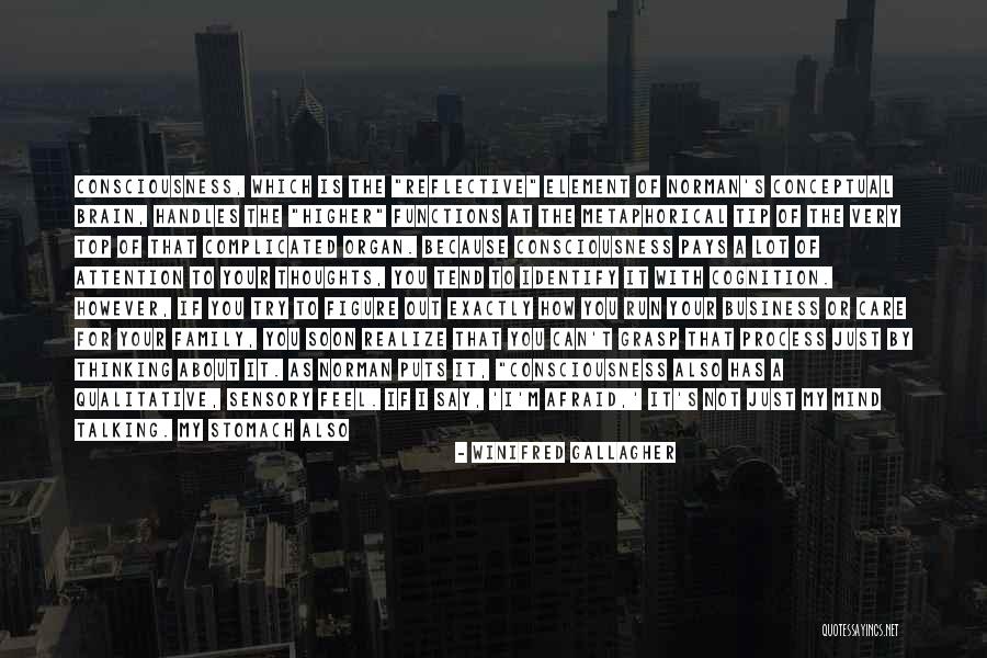 Stomach In Knots Quotes By Winifred Gallagher Stomach In Knots Quotes By Winifred Gallagher