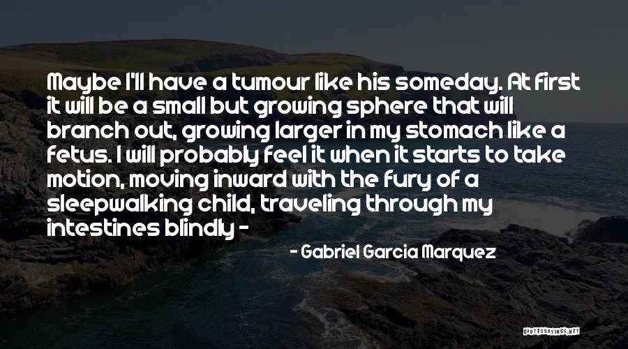 Stomach Then Small Quotes By Gabriel Garcia Marquez Stomach Then Small Quotes By Gabriel Garcia Marquez