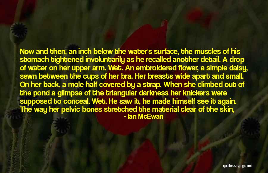 Stomach Then Small Quotes By Ian McEwan Stomach Then Small Quotes By Ian McEwan