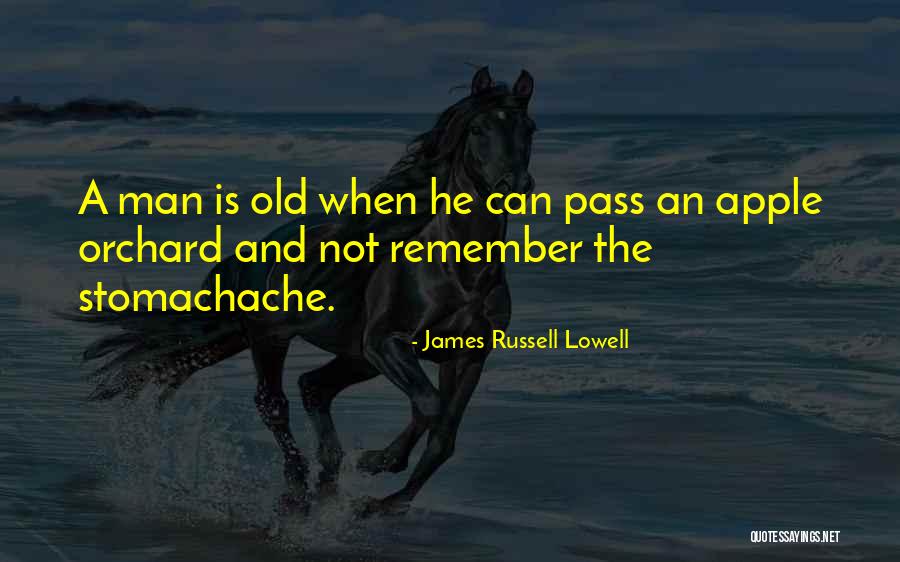 Stomachache Quotes By James Russell Lowell Stomachache Quotes By James Russell Lowell