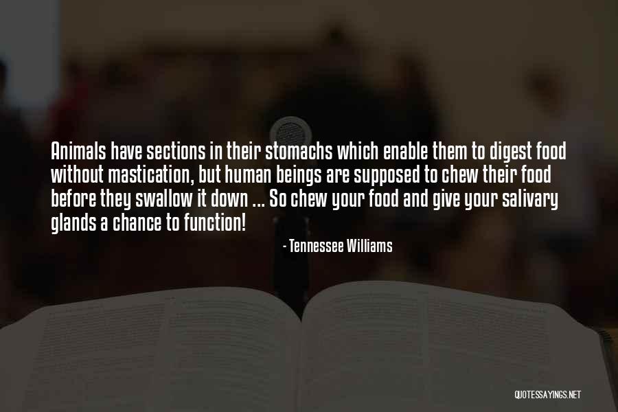 Stomachs Function Quotes By Tennessee Williams Stomachs Function Quotes By Tennessee Williams