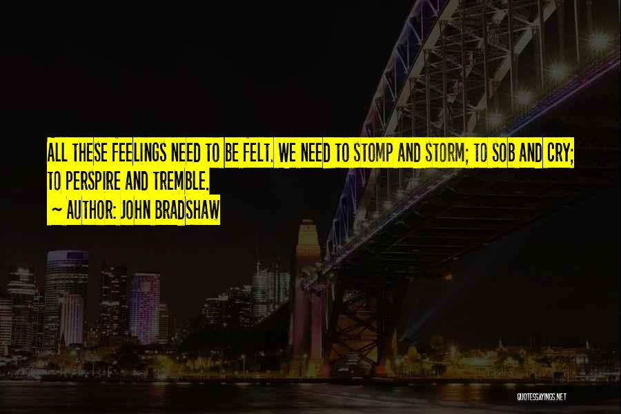 Stomp Quotes By John Bradshaw