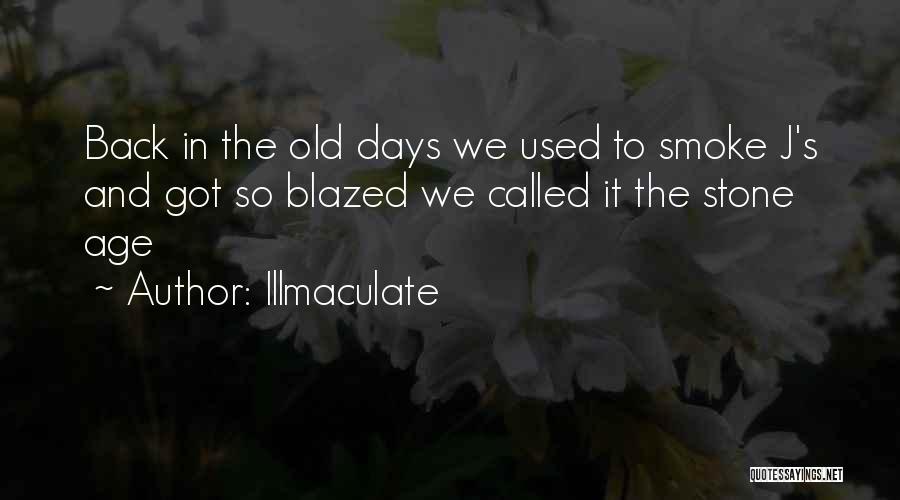 Stone Age Quotes By Illmaculate