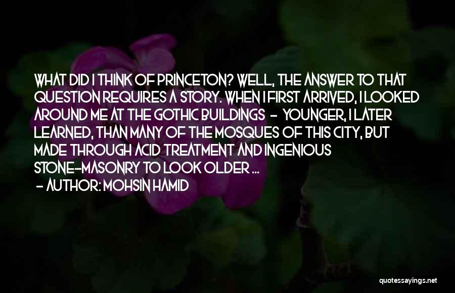 Stone Age Quotes By Mohsin Hamid