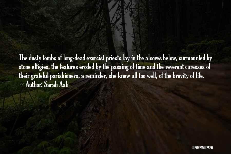 Stone Age Quotes By Sarah Ash