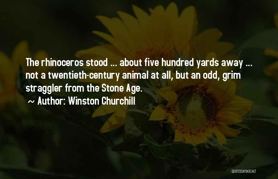 Stone Age Quotes By Winston Churchill