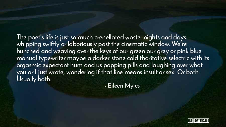 Stone And Life Quotes By Eileen Myles