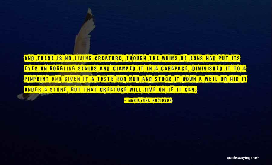 Stone And Life Quotes By Marilynne Robinson