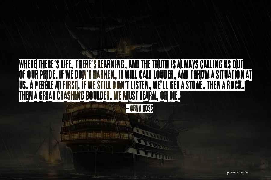 Stone And Life Quotes By Orna Ross
