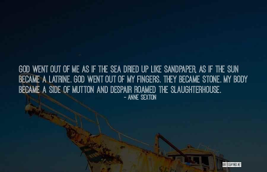 Stone And Sea Quotes By Anne Sexton Stone And Sea Quotes By Anne Sexton